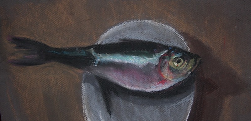 Sild Sild Herring